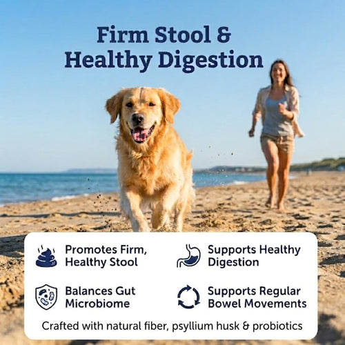 PEAKIVA Fiber for Dogs with Psyllium Husk & Pumpkin Powder, 3-in-1, Chews with Probiotic Blend for Diarrhea Relief, Stool Hardener, Anal Gland Support & Scooting